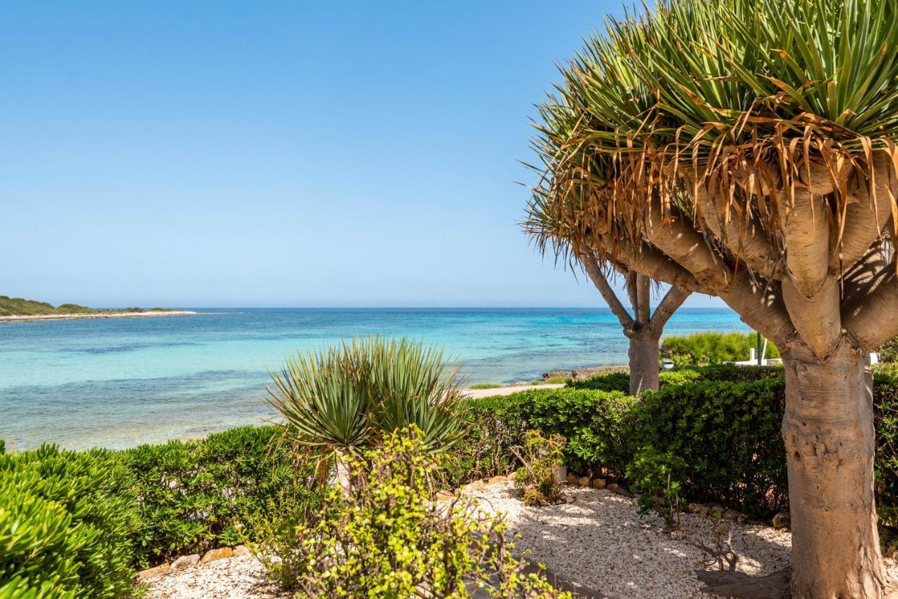 Bellamirada - Punta Prima Playa Διαμέρισμα Εξωτερικό φωτογραφία